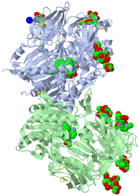 Image Asym./Biol. Unit