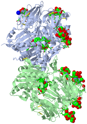 Image Asym./Biol. Unit - sites