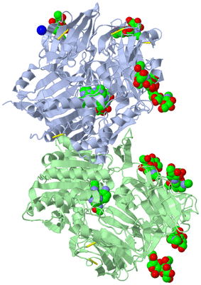 Image Asym./Biol. Unit