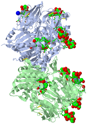 Image Asym./Biol. Unit - sites