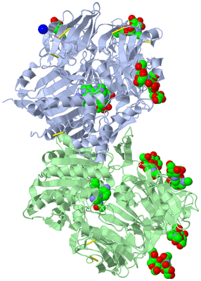 Image Asym./Biol. Unit