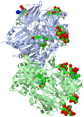 Image Asym./Biol. Unit - sites