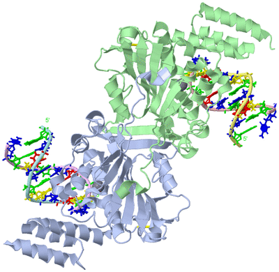 Image Asym./Biol. Unit