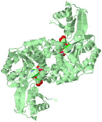 Image Biological Unit 1