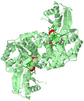 Image Biol. Unit 1 - sites