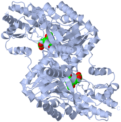 Image Biological Unit 1