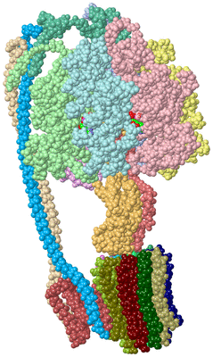 Image Asym./Biol. Unit