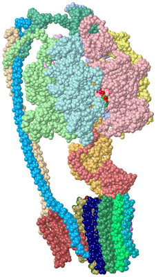 Image Asym./Biol. Unit