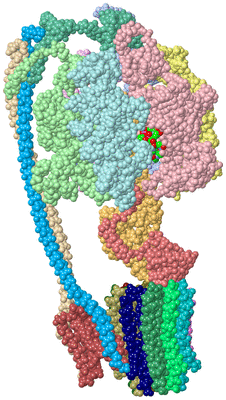 Image Asym./Biol. Unit - sites