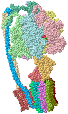 Image Asym./Biol. Unit