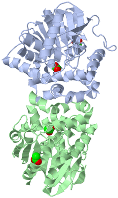 Image Asym./Biol. Unit