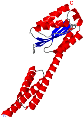 Image Asymmetric Unit