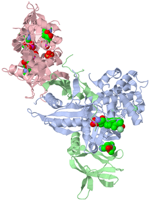 Image Biological Unit 1