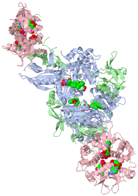 Image Biological Unit 2