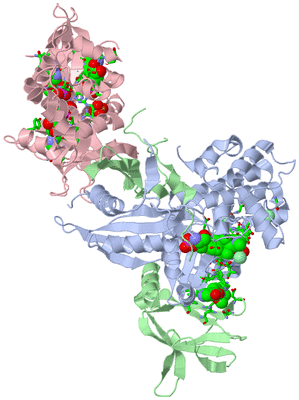 Image Asym. Unit - sites