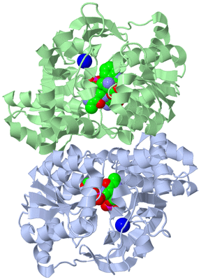 Image Biological Unit 1