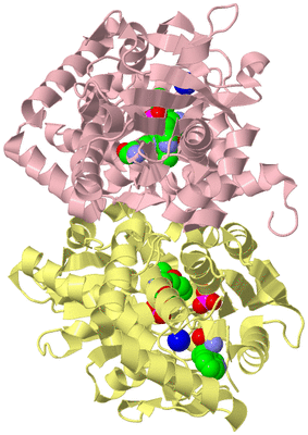 Image Biological Unit 2