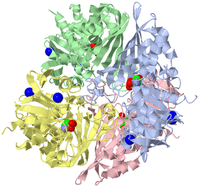 Image Asym./Biol. Unit