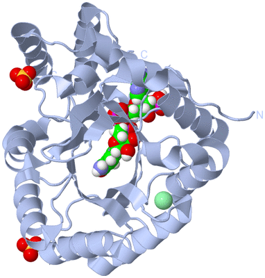 Image Biological Unit 1