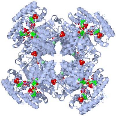 Image Biological Unit 2