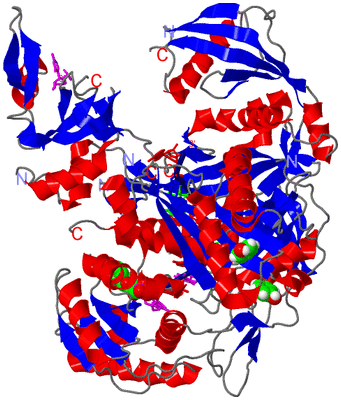 Image Asym./Biol. Unit