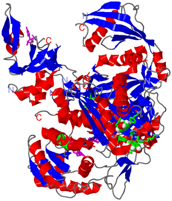 Image Asym./Biol. Unit - sites