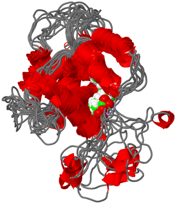 Image NMR Structure - all models