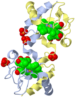 Image Biological Unit 1