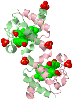 Image Biological Unit 2