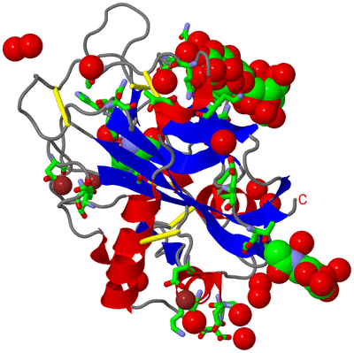 Image Asym./Biol. Unit - sites