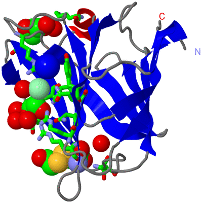 Image Asym./Biol. Unit - sites