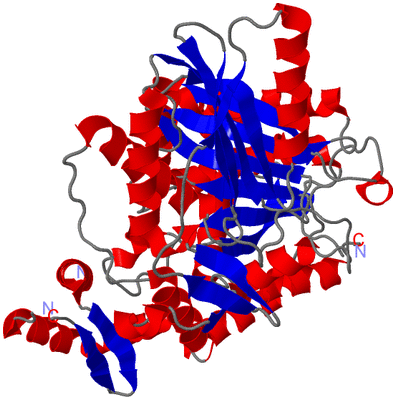 Image Asym./Biol. Unit