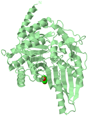 Image Biological Unit 2