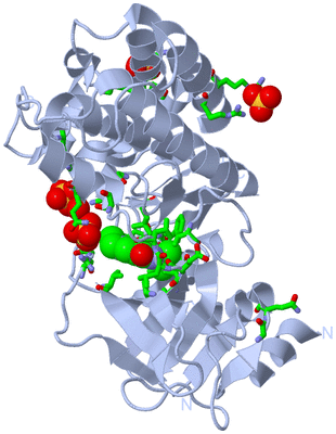 Image Biol. Unit 1 - sites