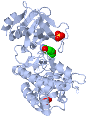 Image Biological Unit 1