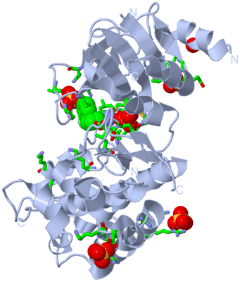 Image Biol. Unit 1 - sites