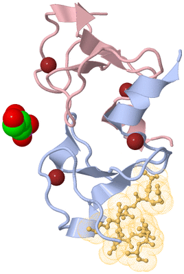 Image Biological Unit 5