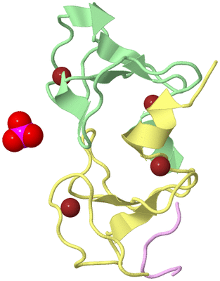 Image Biological Unit 6