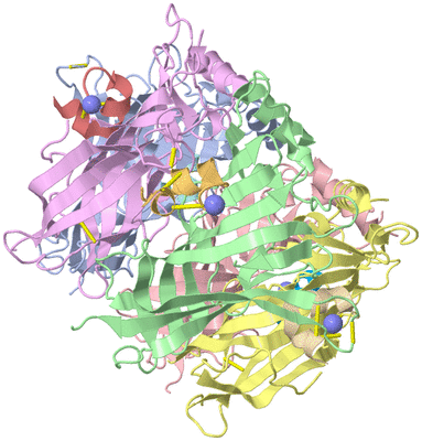 Image Asym./Biol. Unit