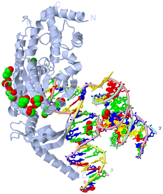 Image Biological Unit 1