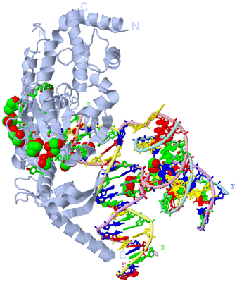 Image Biol. Unit 1 - sites