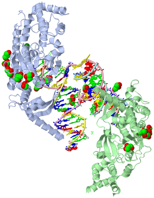 Image Biological Unit 2