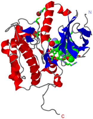 Image Asym./Biol. Unit - sites