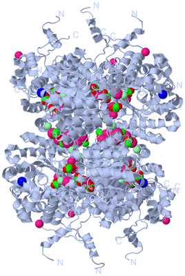 Image Biological Unit 1