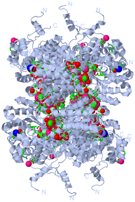 Image Biol. Unit 1 - sites