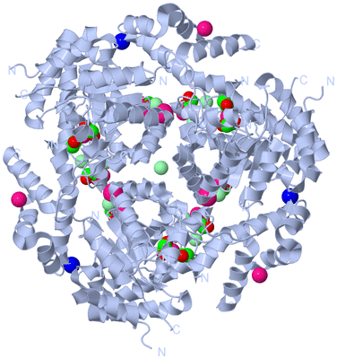 Image Biological Unit 2