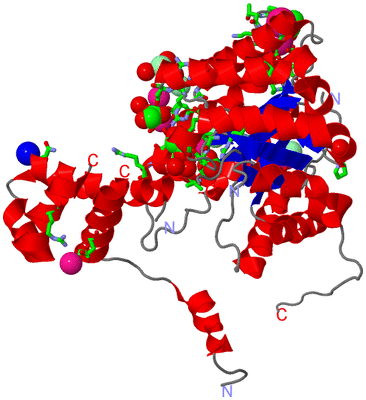 Image Asym. Unit - sites