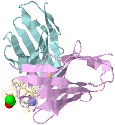 Image Biological Unit 1