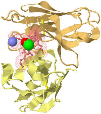 Image Biological Unit 3