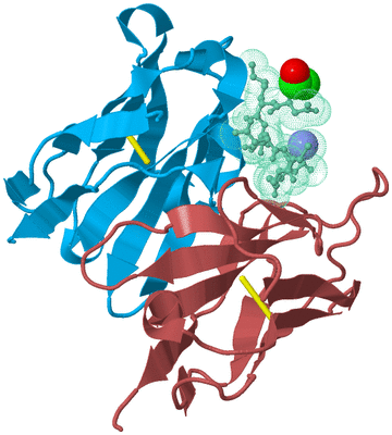 Image Biological Unit 4